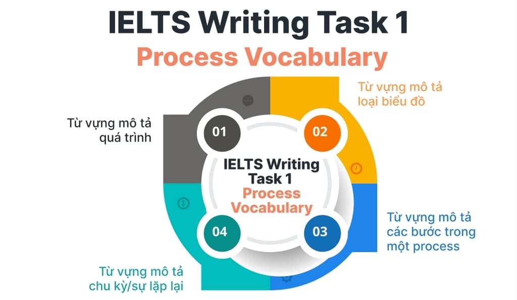 Từ vựng IELTS Writing Task 1 Process