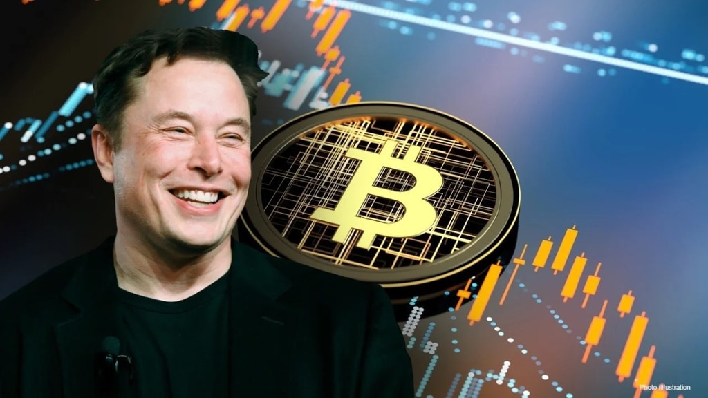 Elon Musk và crypto