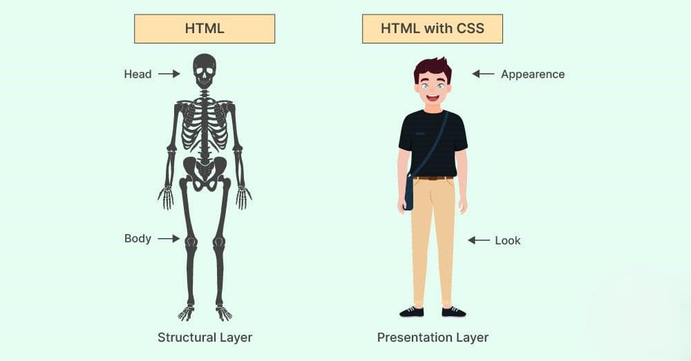 HTML vs CSS