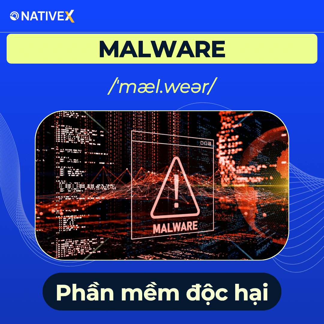 Malicious Software/Malware