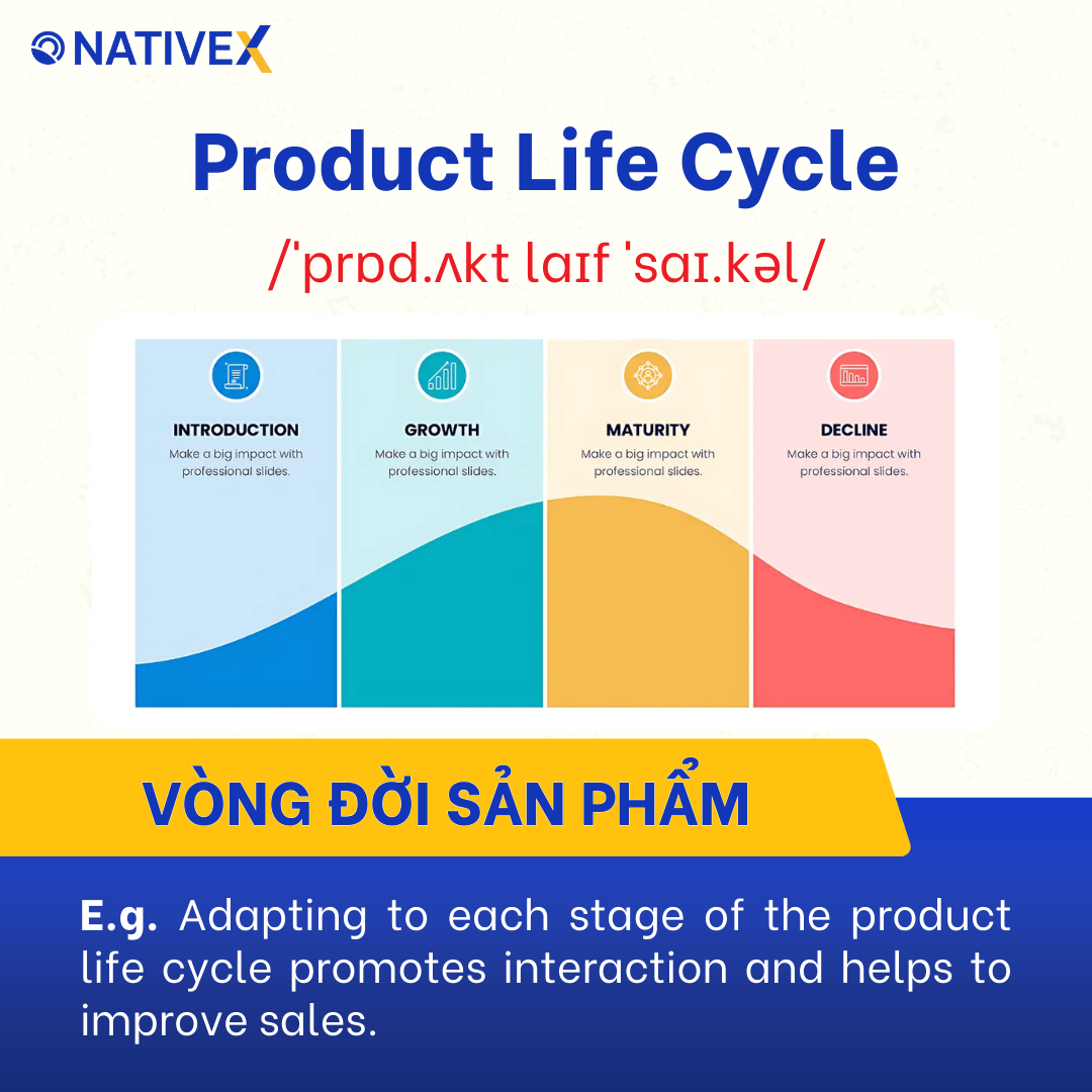 Product Life Cycle