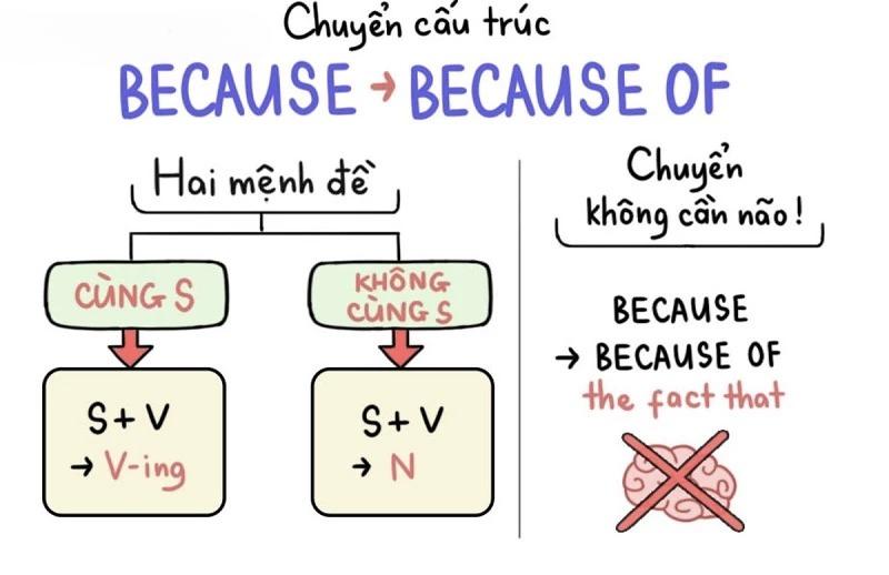 Chuyển đổi cấu trúc because sang because of