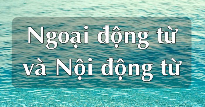 Cách phân biệt ngoại động từ và nội động từ