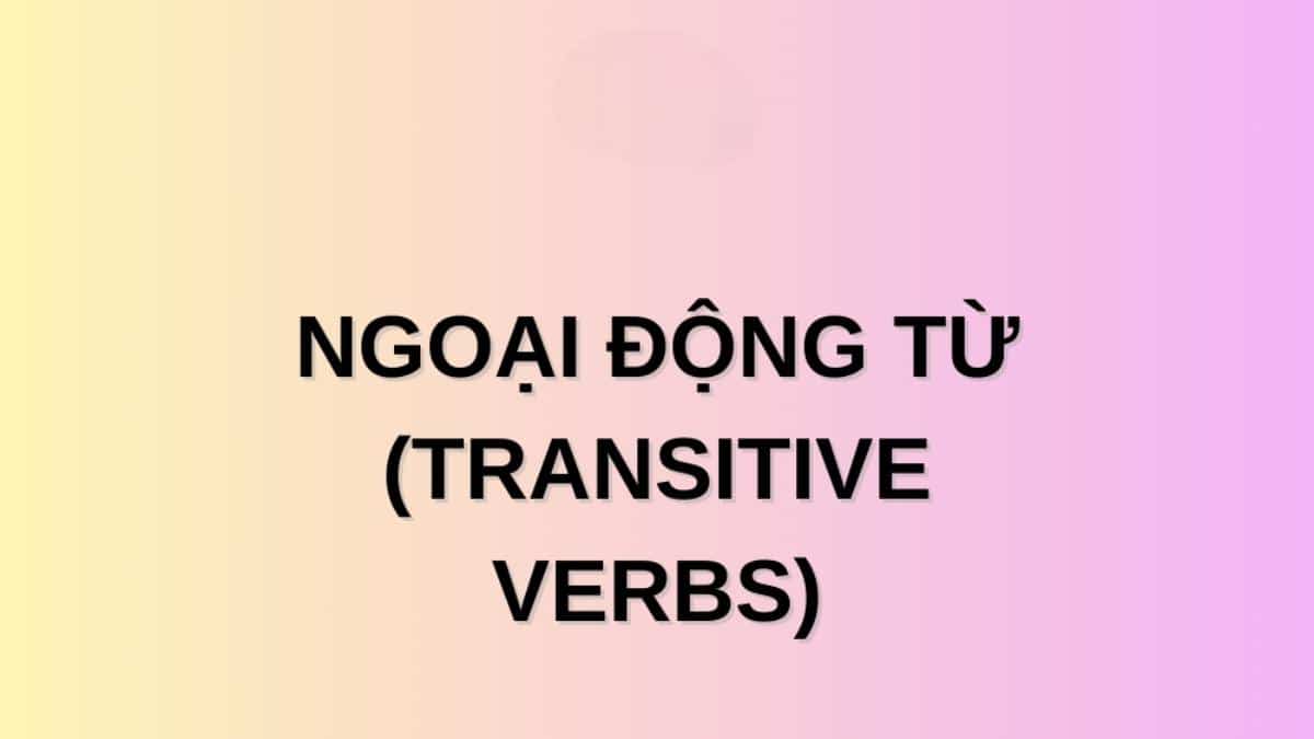 Ngữ pháp tiếng Anh: Ngoại động từ (Transitive verbs) – cách dùng và bài tập