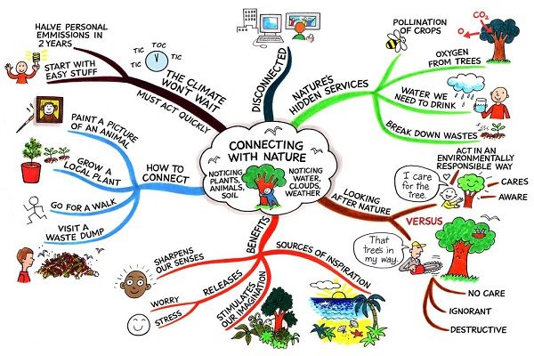 Học từ vựng tiếng Anh cực “đỉnh” bằng sơ đồ tư duy mind map