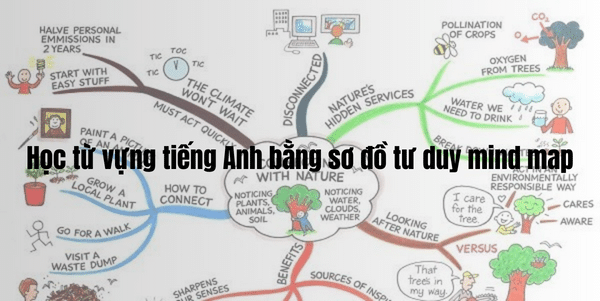 Học từ vựng tiếng Anh cực “đỉnh” bằng sơ đồ tư duy mind map