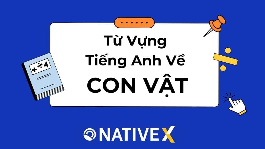 Từ Vựng Tiếng Anh Về Con Vật: Tổng hợp 100+ từ thông dụng