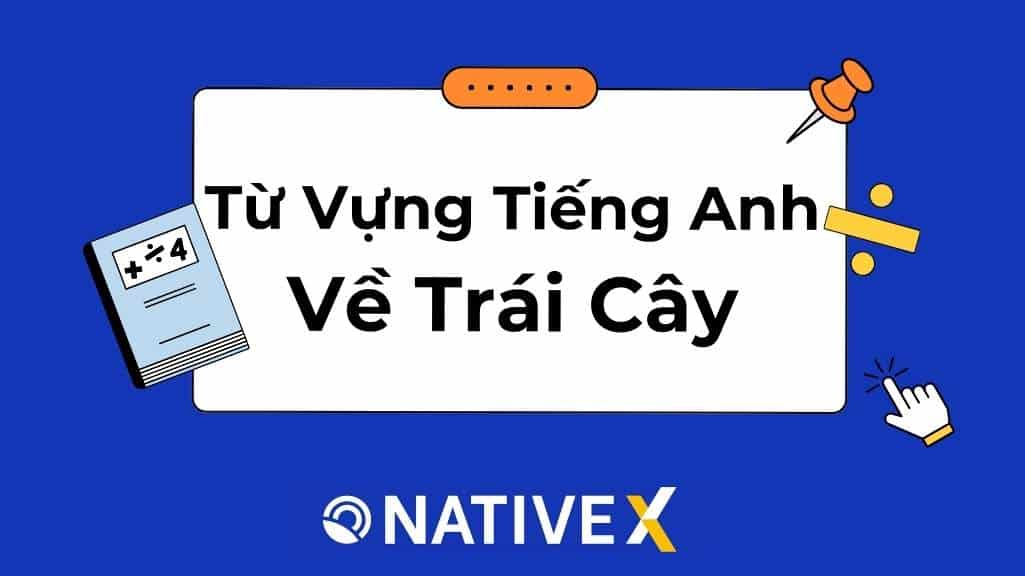 Từ Vựng Tiếng Anh Về Trái Cây: Tổng hợp 100+ từ thông dụng